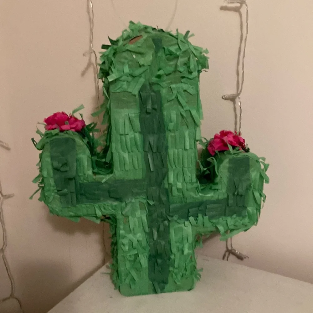 Cactus piñata